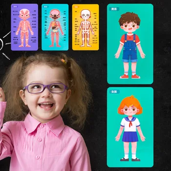 Структура человеческого тела Когнитивная головоломка Детские биологические игрушки Деревянные головоломки Игрушки для мальчиков и девочек Безопасность Развивающие игрушки